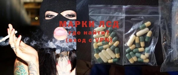 индика Алзамай