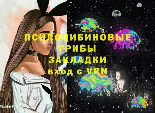 индика Алзамай
