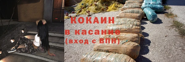 индика Алзамай