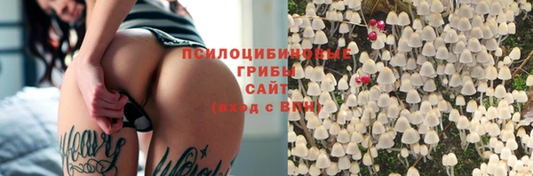 индика Алзамай