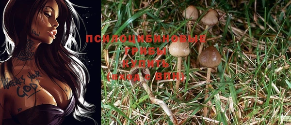 индика Алзамай