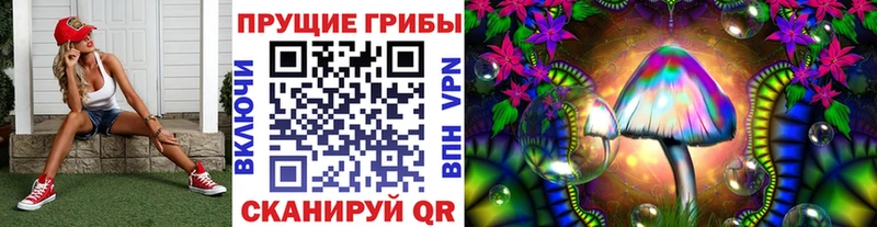 Галлюциногенные грибы Psilocybine cubensis  Аткарск 